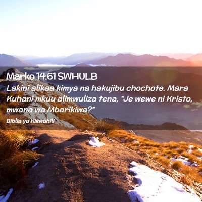 Picture 02 - Marko 14:61 SWHULB - Lakini alikaa kimya na hakujibu chochote. Mara - Bible Verse Picture