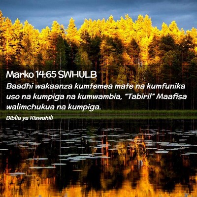 Picture 02 - Marko 14:65 SWHULB - Baadhi wakaanza kumtemea mate na kumfunika uso na - Bible Verse Picture