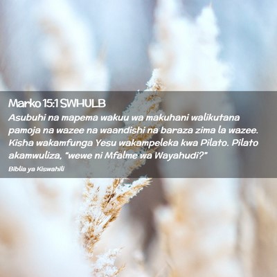 Picture 02 - Marko 15:1 SWHULB - Asubuhi na mapema wakuu wa makuhani walikutana - Bible Verse Picture