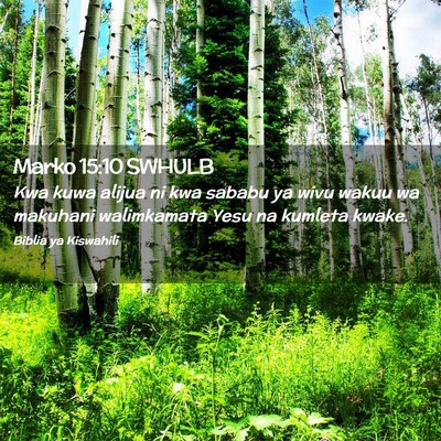 Picture 02 - Marko 15:10 SWHULB - Kwa kuwa alijua ni kwa sababu ya wivu wakuu wa - Bible Verse Picture