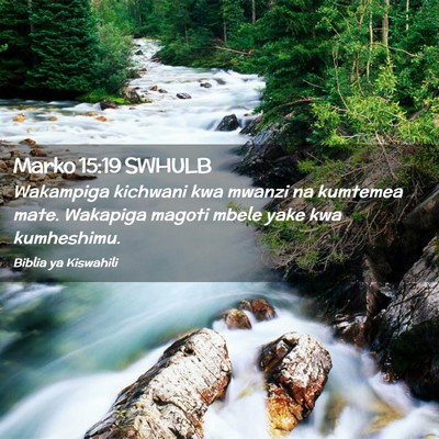 Picture 02 - Marko 15:19 SWHULB - Wakampiga kichwani kwa mwanzi na kumtemea mate. - Bible Verse Picture