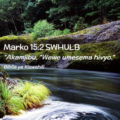 Picture 02 - Marko 15:2 SWHULB - “Akamjibu, “Wewe umesema - Bible Verse Picture