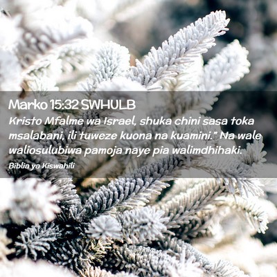 Picture 02 - Marko 15:32 SWHULB - Kristo Mfalme wa Israel, shuka chini sasa toka - Bible Verse Picture