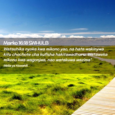 Picture 02 - Marko 16:18 SWHULB - Watashika nyoka kwa mikono yao, na hata wakinywa - Bible Verse Picture