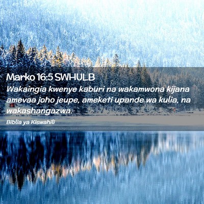 Picture 02 - Marko 16:5 SWHULB - Wakaingia kwenye kaburi na wakamwona kijana - Bible Verse Picture