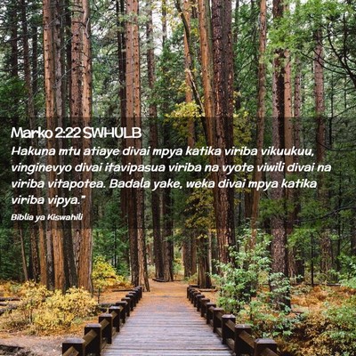 Picture 02 - Marko 2:22 SWHULB - Hakuna mtu atiaye divai mpya katika viriba - Bible Verse Picture