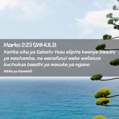 Picture 02 - Marko 2:23 SWHULB - Katika siku ya Sabato Yesu alipita kwenye baadhi - Bible Verse Picture