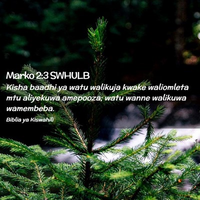 Picture 02 - Marko 2:3 SWHULB - Kisha baadhi ya watu walikuja kwake waliomleta - Bible Verse Picture