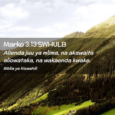 Picture 02 - Marko 3:13 SWHULB - Alienda juu ya mlima, na akawaita aliowataka, na - Bible Verse Picture