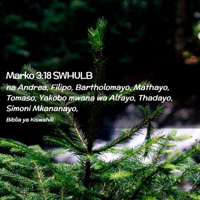 Picture 02 - Marko 3:18 SWHULB - na Andrea, Filipo, Bartholomayo, Mathayo, Tomaso, - Bible Verse Picture