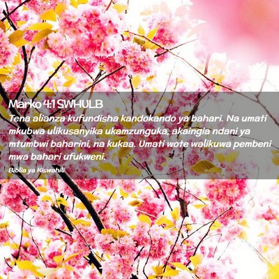 Picture 02 - Marko 4:1 SWHULB - Tena alianza kufundisha kandokando ya bahari. Na - Bible Verse Picture