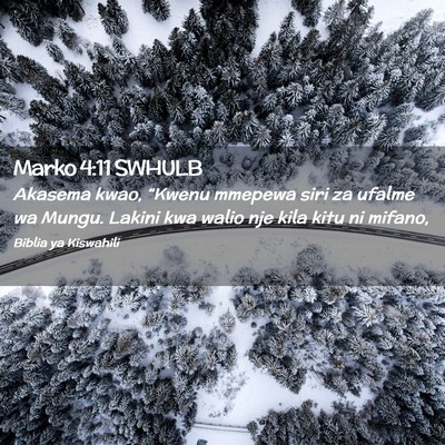 Picture 02 - Marko 4:11 SWHULB - Akasema kwao, “Kwenu mmepewa siri za ufalme wa - Bible Verse Picture