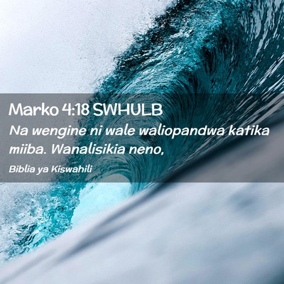 Picture 02 - Marko 4:18 SWHULB - Na wengine ni wale waliopandwa katika miiba. - Bible Verse Picture