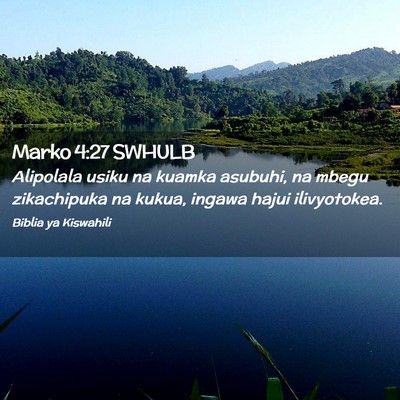Picture 02 - Marko 4:27 SWHULB - Alipolala usiku na kuamka asubuhi, na mbegu - Bible Verse Picture