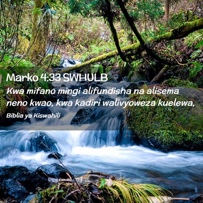 Picture 02 - Marko 4:33 SWHULB - Kwa mifano mingi alifundisha na alisema neno - Bible Verse Picture