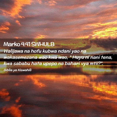 Picture 02 - Marko 4:41 SWHULB - Walijawa na hofu kubwa ndani yao na wakasemezana - Bible Verse Picture