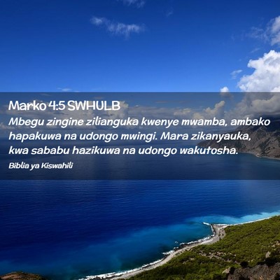 Picture 02 - Marko 4:5 SWHULB - Mbegu zingine zilianguka kwenye mwamba, ambako - Bible Verse Picture