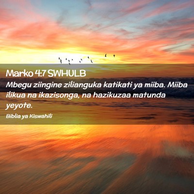 Picture 02 - Marko 4:7 SWHULB - Mbegu ziingine zilianguka katikati ya miiba. - Bible Verse Picture
