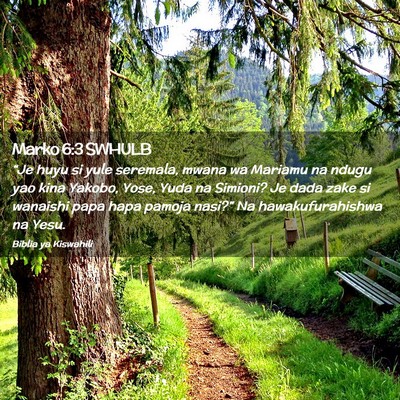 Picture 02 - Marko 6:3 SWHULB - “Je huyu si yule seremala, mwana wa Mariamu na - Bible Verse Picture