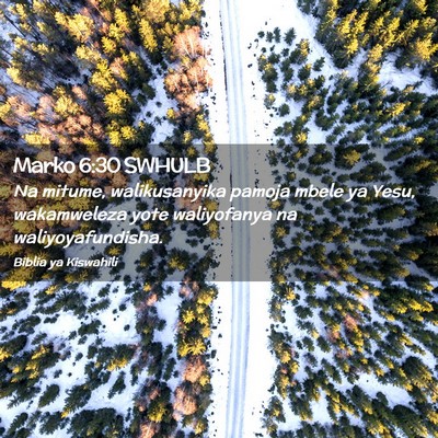 Picture 02 - Marko 6:30 SWHULB - Na mitume, walikusanyika pamoja mbele ya Yesu, - Bible Verse Picture