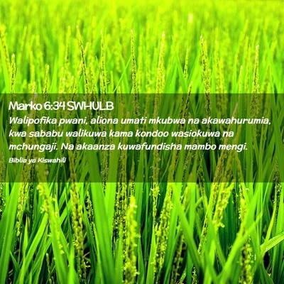 Picture 02 - Marko 6:34 SWHULB - Walipofika pwani, aliona umati mkubwa na - Bible Verse Picture