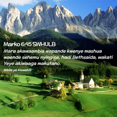 Picture 02 - Marko 6:45 SWHULB - Mara akawaambia wapande kwenye mashua waende - Bible Verse Picture