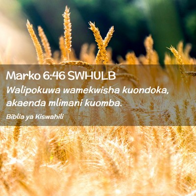 Picture 02 - Marko 6:46 SWHULB - Walipokuwa wamekwisha kuondoka, akaenda mlimani - Bible Verse Picture