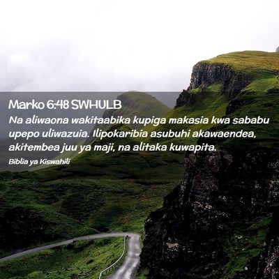 Picture 02 - Marko 6:48 SWHULB - Na aliwaona wakitaabika kupiga makasia kwa sababu - Bible Verse Picture