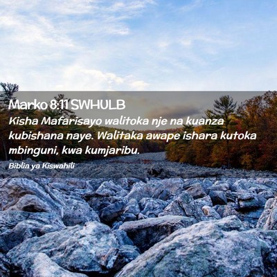 Picture 02 - Marko 8:11 SWHULB - Kisha Mafarisayo walitoka nje na kuanza kubishana - Bible Verse Picture
