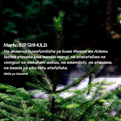 Picture 02 - Marko 8:31 SWHULB - Na akaanza kuwafundisha ya kuwa Mwana wa Adamu - Bible Verse Picture