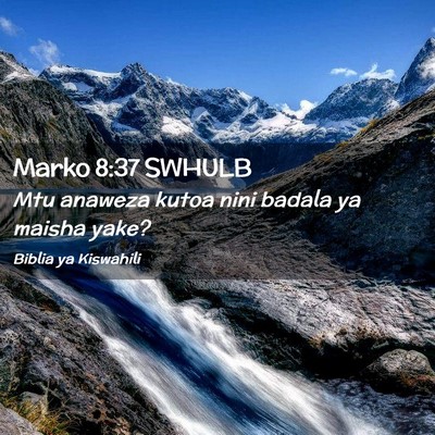 Picture 02 - Marko 8:37 SWHULB - Mtu anaweza kutoa nini badala ya maisha - Bible Verse Picture