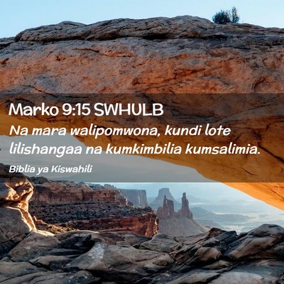 Picture 02 - Marko 9:15 SWHULB - Na mara walipomwona, kundi lote lilishangaa na - Bible Verse Picture
