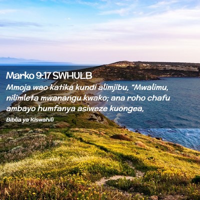 Picture 02 - Marko 9:17 SWHULB - Mmoja wao katika kundi alimjibu, “Mwalimu, - Bible Verse Picture