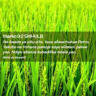 Picture 02 - Marko 9:2 SWHULB - Na baada ya siku sita, Yesu aliwachukua Petro, - Bible Verse Picture