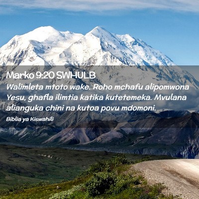 Picture 02 - Marko 9:20 SWHULB - Walimleta mtoto wake. Roho mchafu alipomwona - Bible Verse Picture