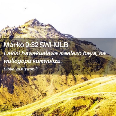 Picture 02 - Marko 9:32 SWHULB - Lakini hawakuelewa maelezo haya, na waliogopa - Bible Verse Picture