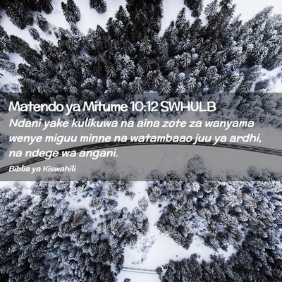 Picture 02 - Matendo ya Mitume 10:12 SWHULB - Ndani yake kulikuwa na aina zote za wanyama wenye - Bible Verse Picture