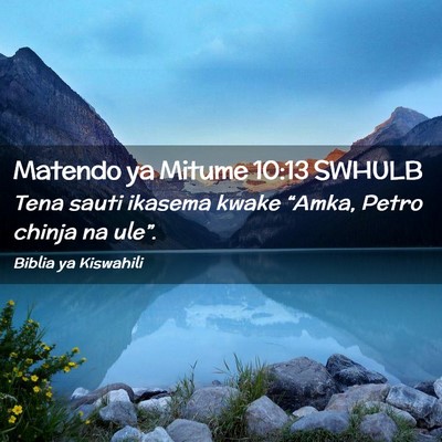 Picture 02 - Matendo ya Mitume 10:13 SWHULB - Tena sauti ikasema kwake “Amka, Petro chinja na - Bible Verse Picture