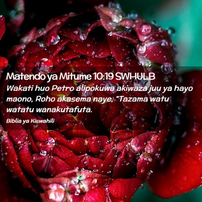 Picture 02 - Matendo ya Mitume 10:19 SWHULB - Wakati huo Petro alipokuwa akiwaza juu ya hayo - Bible Verse Picture