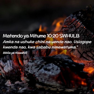 Picture 02 - Matendo ya Mitume 10:20 SWHULB - Amka na ushuke chini na uende nao. Usiogope - Bible Verse Picture