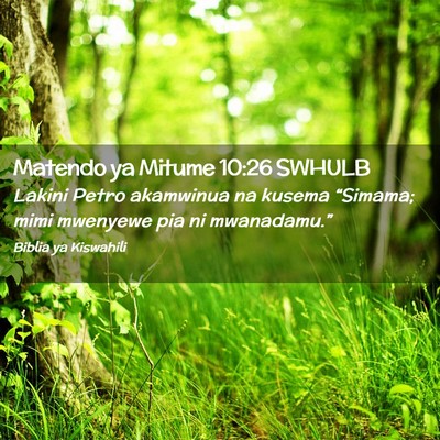 Picture 02 - Matendo ya Mitume 10:26 SWHULB - Lakini Petro akamwinua na kusema “Simama; mimi - Bible Verse Picture