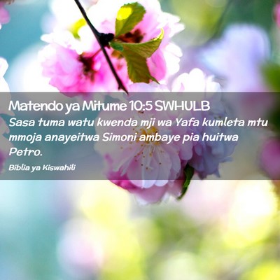 Picture 02 - Matendo ya Mitume 10:5 SWHULB - Sasa tuma watu kwenda mji wa Yafa kumleta mtu - Bible Verse Picture