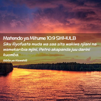 Picture 02 - Matendo ya Mitume 10:9 SWHULB - Siku iliyofuata muda wa saa sita wakiwa njiani na - Bible Verse Picture