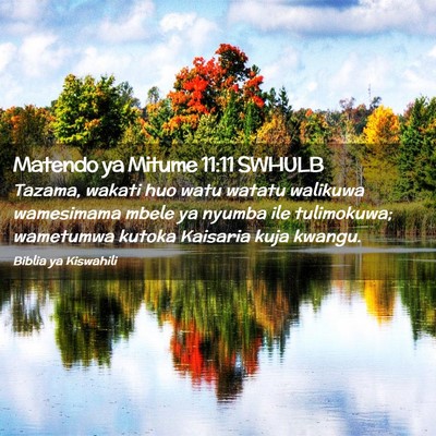 Picture 02 - Matendo ya Mitume 11:11 SWHULB - Tazama, wakati huo watu watatu walikuwa - Bible Verse Picture