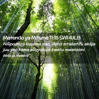 Picture 02 - Matendo ya Mitume 11:15 SWHULB - Nilipoanza kusema nao, Roho mtakatifu akaja juu - Bible Verse Picture