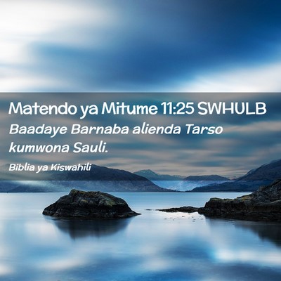Picture 02 - Matendo ya Mitume 11:25 SWHULB - Baadaye Barnaba alienda Tarso kumwona - Bible Verse Picture
