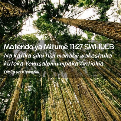 Picture 02 - Matendo ya Mitume 11:27 SWHULB - Na katika siku hizi manabii wakashuka kutoka - Bible Verse Picture