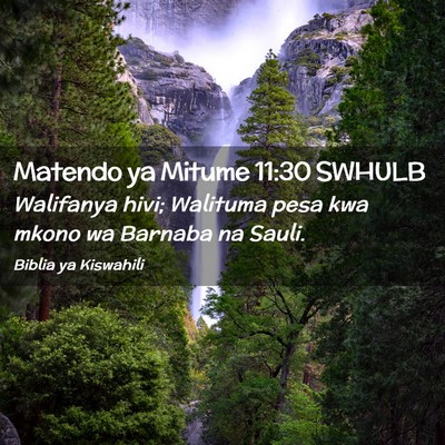 Picture 02 - Matendo ya Mitume 11:30 SWHULB - Walifanya hivi; Walituma pesa kwa mkono wa - Bible Verse Picture