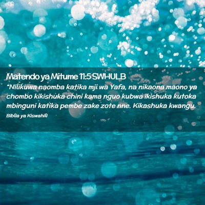Picture 02 - Matendo ya Mitume 11:5 SWHULB - “Nilikuwa naomba katika mji wa Yafa, na nikaona - Bible Verse Picture