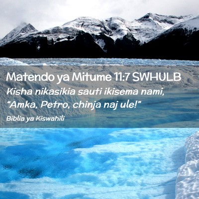 Picture 02 - Matendo ya Mitume 11:7 SWHULB - Kisha nikasikia sauti ikisema nami, “Amka, - Bible Verse Picture